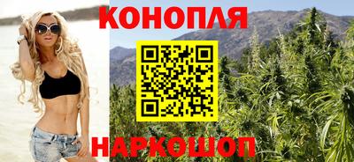 мяу мяу мука Краснознаменск