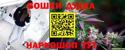 мяу мяу мука Краснознаменск
