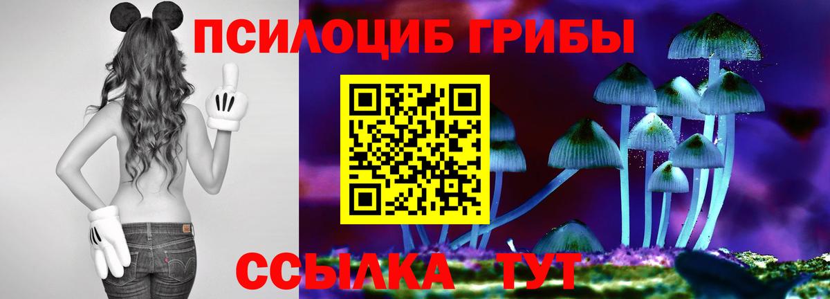 Галлюциногенные грибы Psilocybine cubensis  Псилоцибиновые грибы мухоморы  Вход с VPN  Киров 